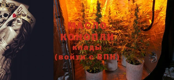 стафф Верхний Тагил