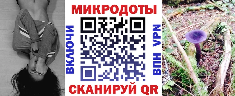 это как зайти  Симферополь  Псилоцибиновые грибы Magic Shrooms 